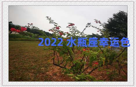 2022 水瓶座幸运色